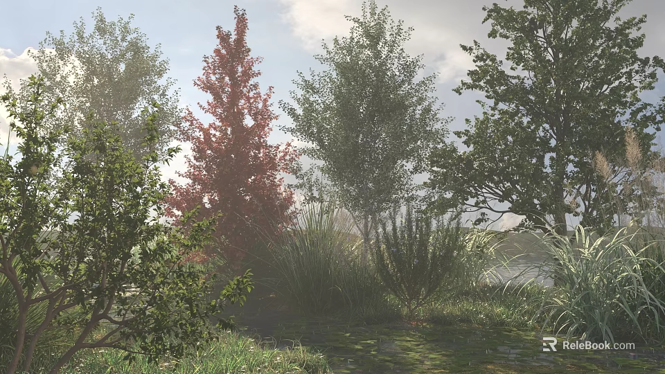Tall Deciduous Trees With Red And Green Foliage In Misty Grassland Near Water 3d model 