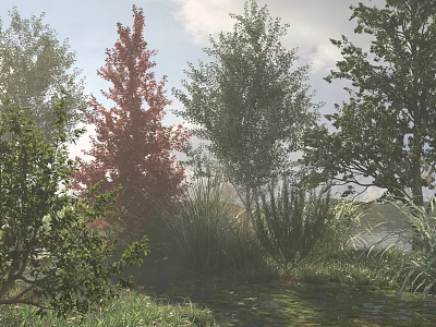 Tall Deciduous Trees With Red And Green Foliage In Misty Grassland Near Water 3d model