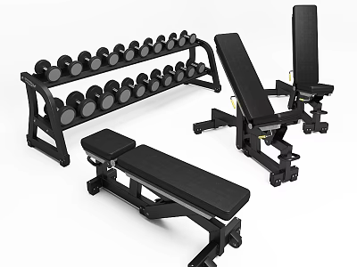 Fitness Equipment Set With Dumbbell Rack Adjustable Weight Benches And Stacked Dumbbells 3d model
