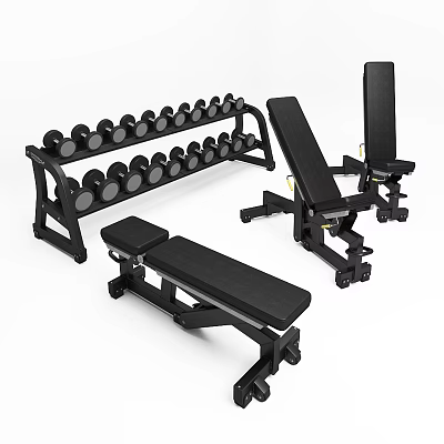 Fitness Equipment Set With Dumbbell Rack Adjustable Weight Benches And Stacked Dumbbells 3d model