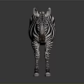 3D Rendered Game Movie Character Black White Striped Zebra on Gray Background with Reflection