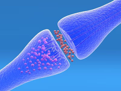 modern neurotransmitter transmission 3d model