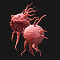 Biological Cells With Protruding Structures And Interconnected Features In 3D Rendering