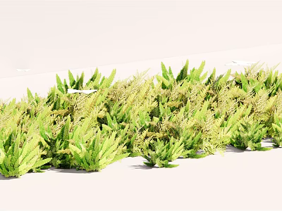 Lush Green Plants with Vibrant Fresh Leaves in Natural Garden Arrangement 3d model