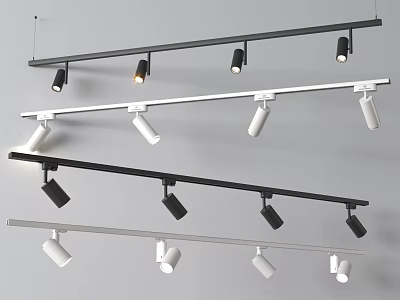 Black and White Track Lights in Different Styles Track Mounted for Home Interior Lighting 3d model