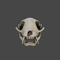 Detailed Animal Skull With Sharp Fangs And Red Marks On Bone Surface