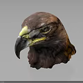 Detailed Realistic Eagle Head Sculpture With Brown Yellow Feathers And Sharp Eyes