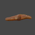 Orange Starfish With White Spots On Textured Surface And Gray Background