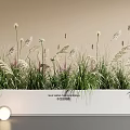 Green Grasses And Feathery Plants In White Rectangular Planter With Purple Flowers And Round Lamp