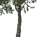 Kindergarten Natural Outdoor Play Area With Green Tree And Lush Grass Field