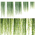 Lush Green Hanging Vines with Dense Foliage for Decorative Garden Use 3d model