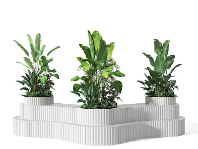 Decorative Potted Plants on White Tiered Stand with Lush Green Tropical Foliage 3d model