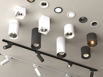 Various Modern Black and White Downlights and Spotlights Ceiling Lighting Fixtures 3d model