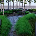 Tranquil Garden Landscape With Tall Trees Green Grass Stone Path And Water Feature