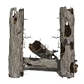 Upright Dead Arbor Trunks With Holes Broken Sections Rough Surface And Bark Texture