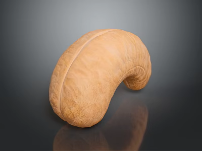 Whole Natural Cashew Nut with Smooth Surface Brown Color on Dark Background 3d model