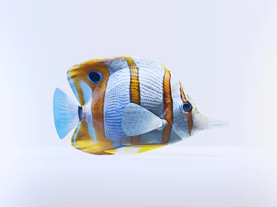 Colorful Tropical Aquatic Fish with Yellow White and Blue Stripes and Eye Spots 3d model