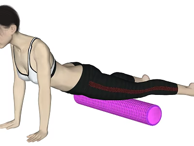 Woman Doing Side Plank Exercise With Purple Foam Roller For Fitness Routine 3d model