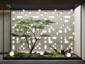 Modern Landscape Sketches Indoor Landscape Sketches Courtyard Sketches Maple Claw Acer Plants Combination Stone 3d model