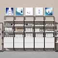 Modern Display Shelves with Organized Cosmetic Bottles and Poster Frames 3d model