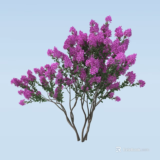 Tall Arbor With Blooming Purple Flowers And Lush Green Leaves On Slender Branches 3d model 