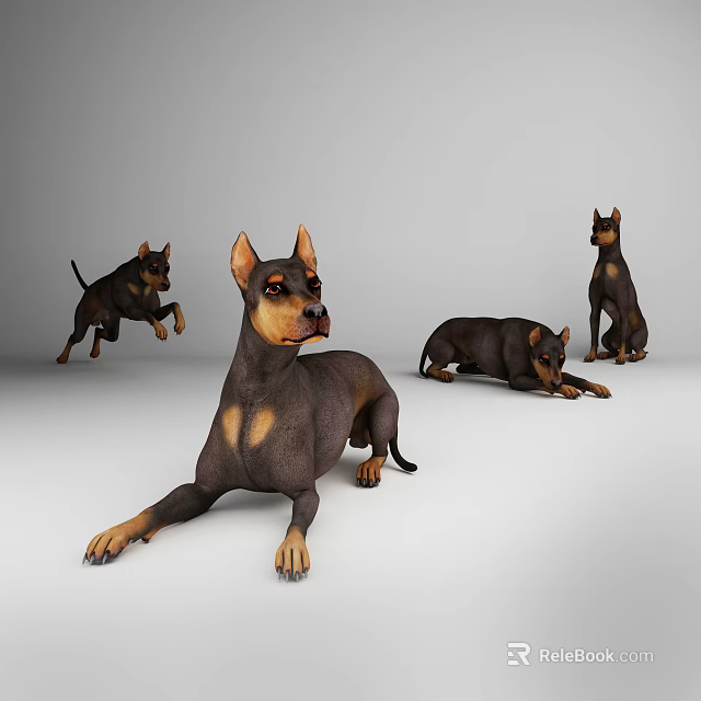 Realistic Reptile 3D Models Showcasing Different Poses On White Surface 3d model 