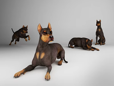 Realistic Reptile 3D Models Showcasing Different Poses On White Surface 3d model