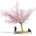 Elegant Pink Blossom Tree with People Standing and Sitting by Yellow Flower Bed