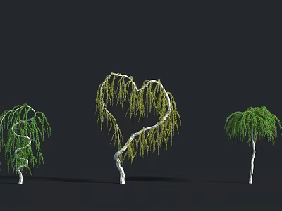 Decorative Heart Shaped Spiral Shaped and Upright Willow Trees on Black Background 3d model