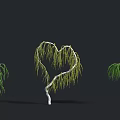 Decorative Heart Shaped Spiral Shaped and Upright Willow Trees on Black Background