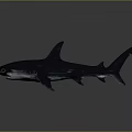 Detailed Dark Blue Hammerhead Shark 3D Model on Gray Background 3d model