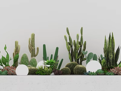 Various Types of Succulent Plants Arranged Against White Background with Different Shapes and Sizes 3d model