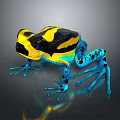 Vibrant Frog With Yellow And Black Body And Blue Legs On Dark Background