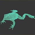 Frog Poison Frog Game Frog Reptile Cold Blooded Animal Reptile 3d model