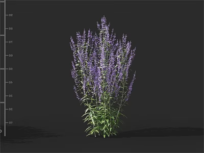 Tall Purple Flower Plant With Green Leaves For Garden Decoration 3d model