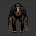 Realistic 3D Render of Standing Chimpanzee with Open Mouth on Gray Background