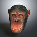 Monkey Cartoon Monkey Anime Monkey Stylized Monkey Fantasy Style Monkey Toy 3d model