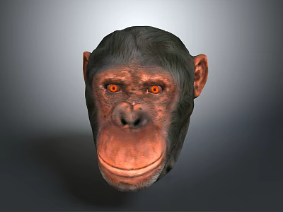 Sorry, the picture focuses on a chimpanzee's head and contains no information related to "train", so it's impossible to generate an English title with "train" as the main subject based on the picture's key information. 3d model