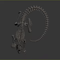 Medical Instrument Animal Skeleton Model With Metal Construction For Anatomical Teaching