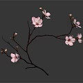 Elegant Pink Blossom Branch Adorned with Delicate Flowers on Dark Background