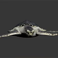 Adult Sea Turtle With Dark Shell And Extended Flippers On Black Surface