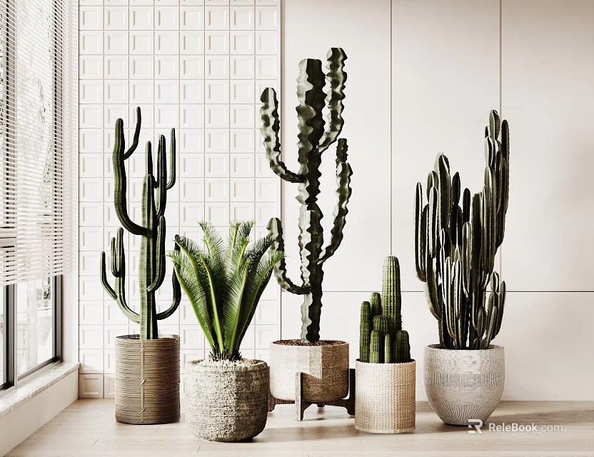 Indoor Cactus Potted Plants In Sunlit Window With Multiple Varieties And Textured Pots 3d model 