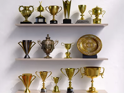 Golden Trophies And Medals With Various Designs On Display Shelves 3d model