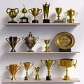 Golden Trophies And Medals With Various Designs On Display Shelves