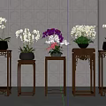 Elegant Various Colored Potted Orchid Plants On Carved Wooden Stands Against White Hexagonal Wall