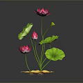 Pink Lotus Shaped Dessert With Green Leaf Decor On Black Background