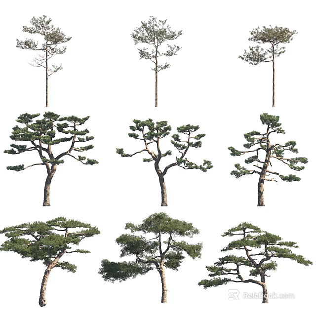 Various Ornamental Trees For Landscape Design With Diverse Crown Shapes And Lush Foliage 3d model 