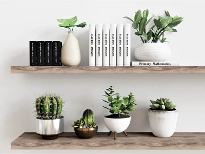 Indoor Potted Succulents And Plants On Wooden Wall Shelves With Decorative Pots 3d model