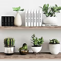 Indoor Potted Succulents And Plants On Wooden Wall Shelves With Decorative Pots