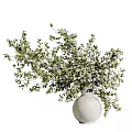 Fresh White Vase With Natural White Small Flowers And Green Leaves On White Background
